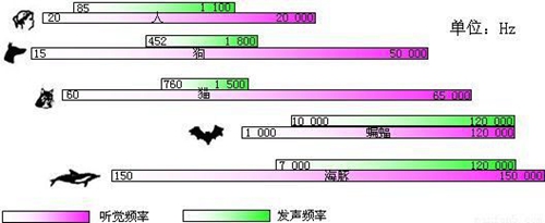 全民k歌怎么调音好听?全民K歌最佳调音参数