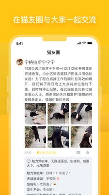 哈啰街猫APP下载安装免费