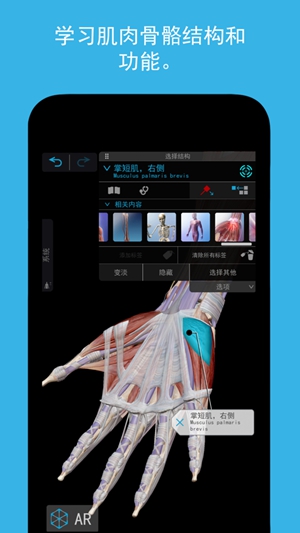 3D人体解剖app免费版下载