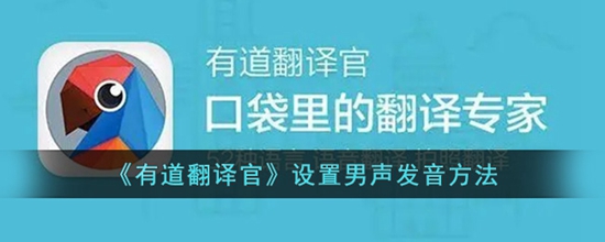 有道翻译怎么改成男声 设置男声发音方法