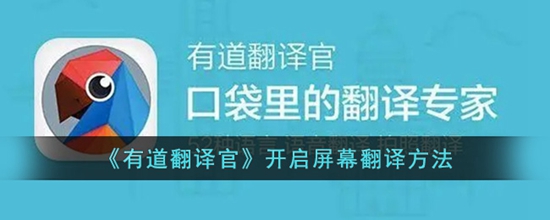 有道翻译怎么开启屏幕翻译 开启屏幕翻译方法