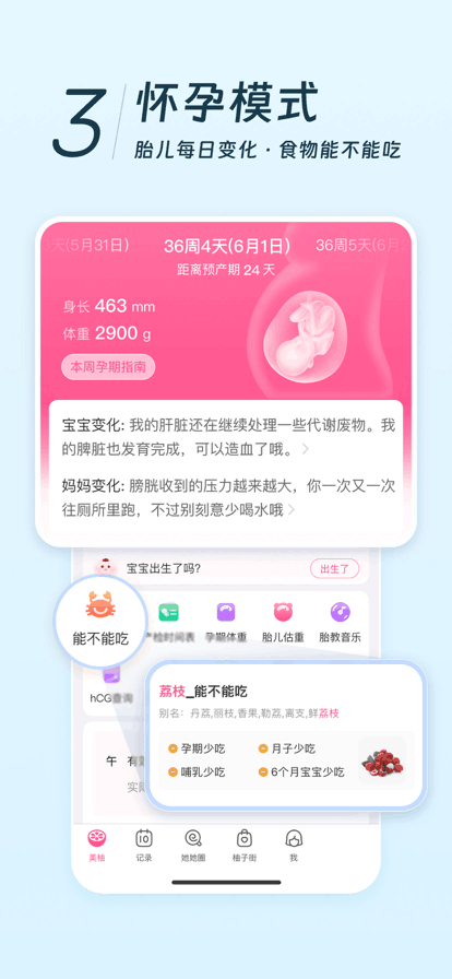 美柚最新版app下载免费