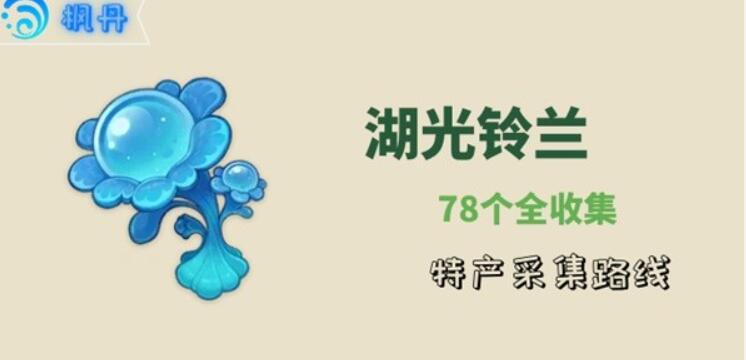 原神湖光铃兰采集位置在哪 湖光铃兰采集路线购买位置全分享