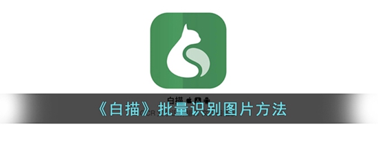 白描app怎么批量识别 批量识别图片方法