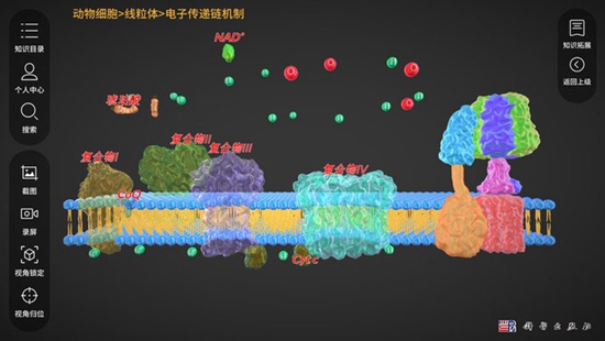 细胞生物学3D资源库系统正版下载