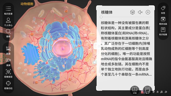 细胞生物学3D资源库系统正版下载破解版