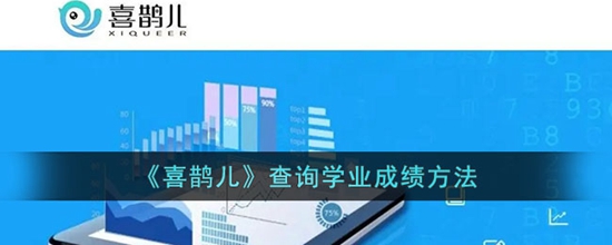 喜鹊儿怎么看学业成绩 查询学业成绩方法